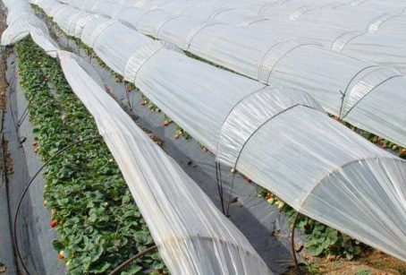 Governo lança estudo nacional sobre soluções europeias para reciclagem e valorização de plásticos agrícolas